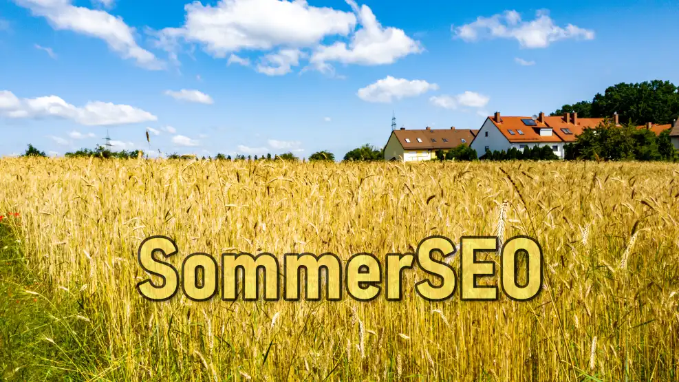SommerSEO am Getreidefeld Sommer 2022